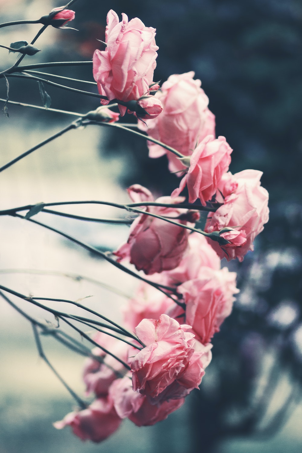 talk therapy vs. internal healing therapy